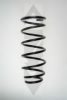 SPIDAN 56743 Coil Spring